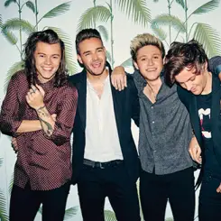 Фото артиста: One Direction