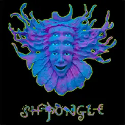 Shpongle — фото артиста