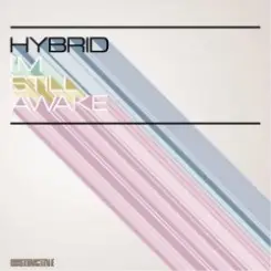 Hybrid - If I Survive слушать онлайн