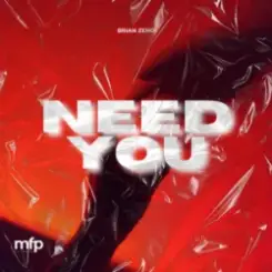 Brian Zeno - Need You слушать онлайн