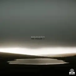 Charlotte De Witte - The Healer слушать онлайн