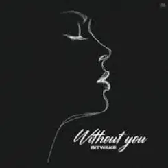 Bitwake - Promises слушать онлайн