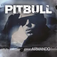 Pitbull - Bon, Bon слушать онлайн
