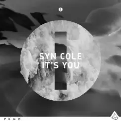 Syn Cole - It's You (Original Mix) слушать онлайн