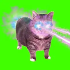 XertXetin - OIIA OIIA COSMIC CAT (Slowed) слушать онлайн
