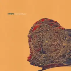 Calibre - dim light слушать онлайн