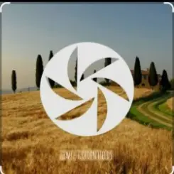 FEWZ - Golden Fields слушать онлайн