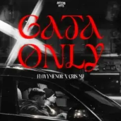 FleyMianer & Cris MJ - Gata Only слушать онлайн