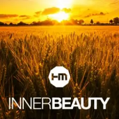 Hybrid Minds - Inner Beauty слушать онлайн
