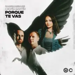 BASSMASSAGE & Sofía Martín - Porque Te Vas слушать онлайн