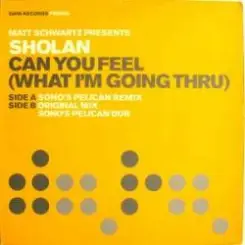 Matt Schwartz pres. Sholan - Can You Feel слушать онлайн