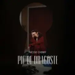 Nicole Cherry - Pic de Dragoste слушать онлайн