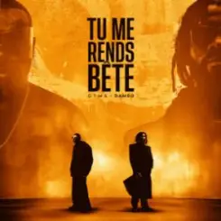 GIMS & Damso - TU ME RENDS BÊTE слушать онлайн
