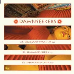 Dawnseekers - Shaman's Wake Up слушать онлайн