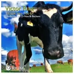 Victor Ruiz - I Look Into You слушать онлайн
