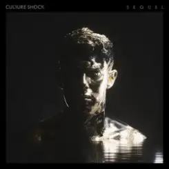Culture Shock - Flight Path слушать онлайн