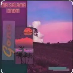 Mr Salama, DNDM - Gone слушать онлайн
