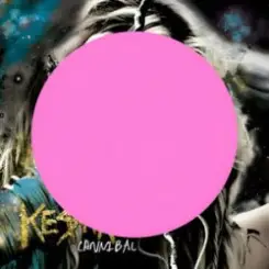 Kesha - we r who we r (Gravagerz REMIX) слушать онлайн