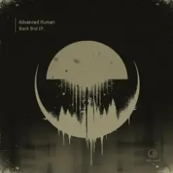 Skyraid UK meets DJ Mac - Dreams Do Come True (Extended Mix) слушать онлайн