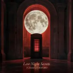 TCHAMI & OOTORO - Late Night Secret слушать онлайн