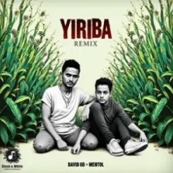David 6D & Mentol - Yiriba (Remix) слушать онлайн