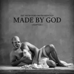 Die Antwoord - Fok Julle Naaiers (Instrumental) слушать онлайн