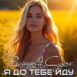 Валерій Судче - Я до тебе йду слушать онлайн