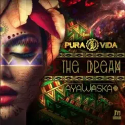 Pura Vida & Ayawaska - Ooda слушать онлайн