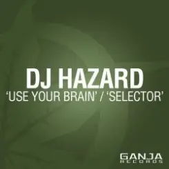 Dj Hazard - Use Your Brain слушать онлайн