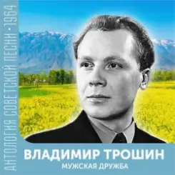 Владимир Трошин - Ты не печалься слушать онлайн