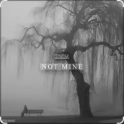 DNDM - Not Mine (Extended) слушать онлайн