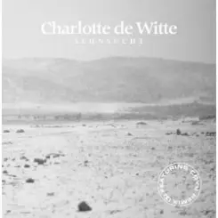 Charlotte De Witte - My Feeling слушать онлайн
