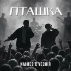 NAIMES & VECHIR - пташка (KARMV REMIX) слушать онлайн