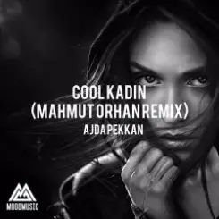 Ajda Pekkan - Cool Kadın (Mahmut Orhan Remix) слушать онлайн