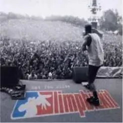 Limp Bizkit - Shot слушать онлайн