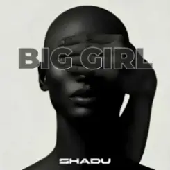 SHADU - Boom Boom слушать онлайн