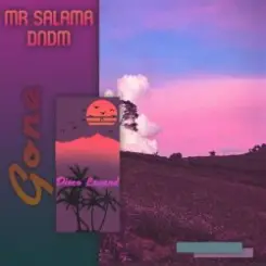 Mr Salama & DNDM - Gone слушать онлайн