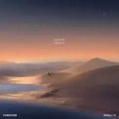 Forester - Saint (Shallou Remix) слушать онлайн
