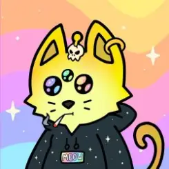 Cosmic Cats - Cats Choose a Direction слушать онлайн