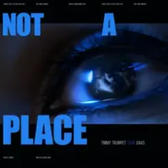 Timmy Trumpet & Oaks - Not A Place (feat. Oaks) слушать онлайн