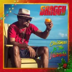 SHAGGY feat. Jamila Falak - Christmas time слушать онлайн