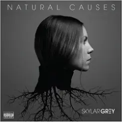 Skylar Grey - Jump слушать онлайн