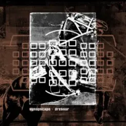 Synapscape - Discorrode слушать онлайн