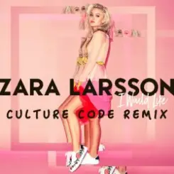 Zara Larsson - I Would Like (Culture Code Remix) слушать онлайн