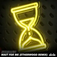 Subsonic - Wait For Me (Etherwood Remix) слушать онлайн