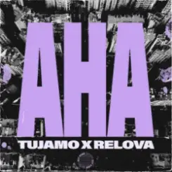 Tujamo & Relova - Aha слушать онлайн