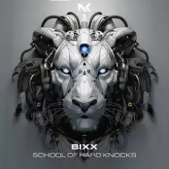 Bixx - Do The Right Thing слушать онлайн