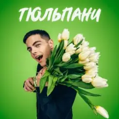 VOLKANOV - ТЮЛЬПАНИ слушать онлайн