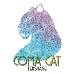 Tensnake - Coma Cat слушать онлайн