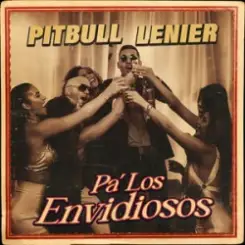 Pitbull & Lenier - Pa' Los Envidiosos слушать онлайн